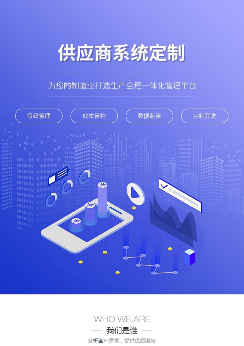 如何选择最适合自己的IT解决方案？——以系统定制为例